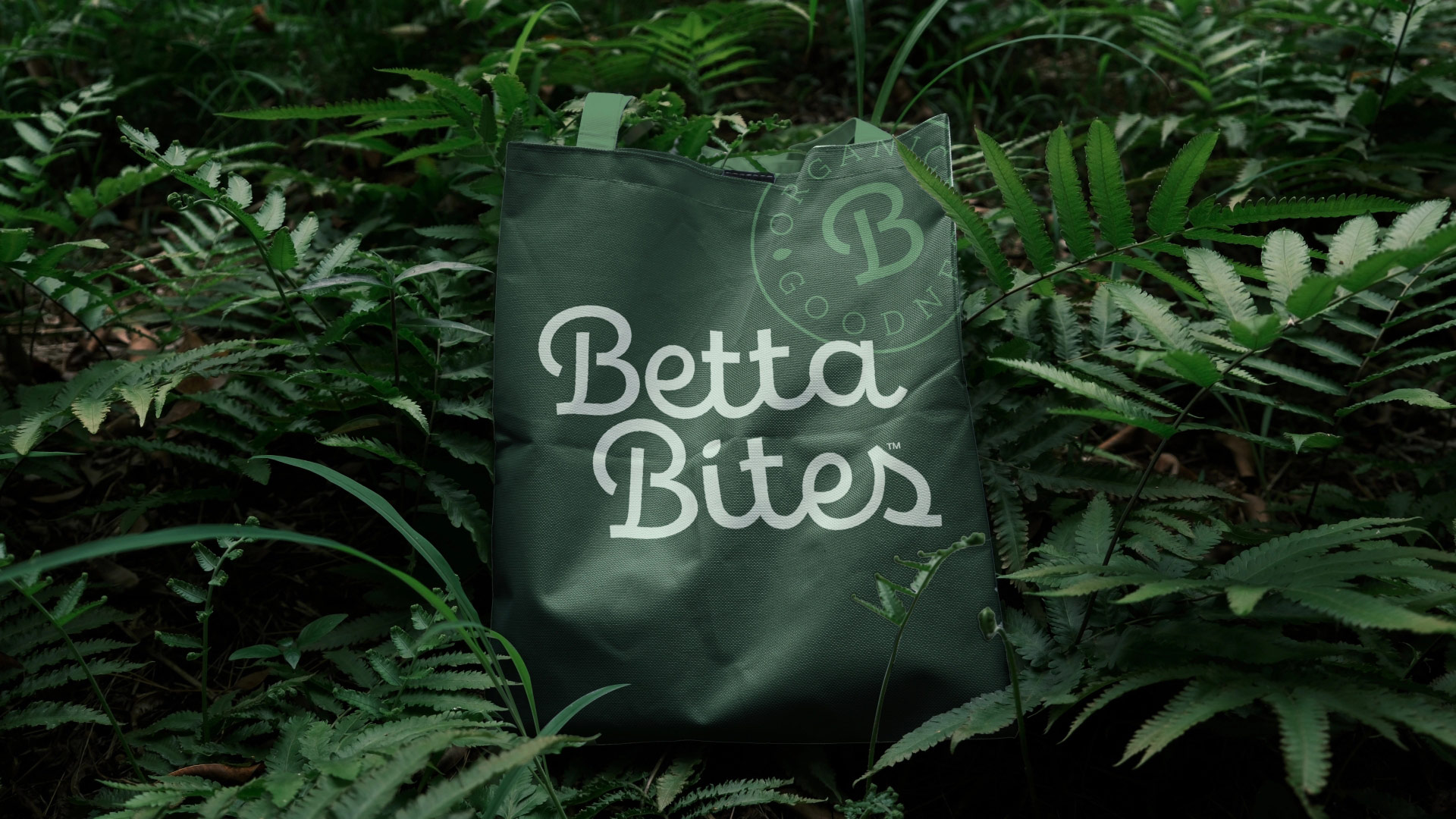 Product Naming & Package Design for Betta Bites