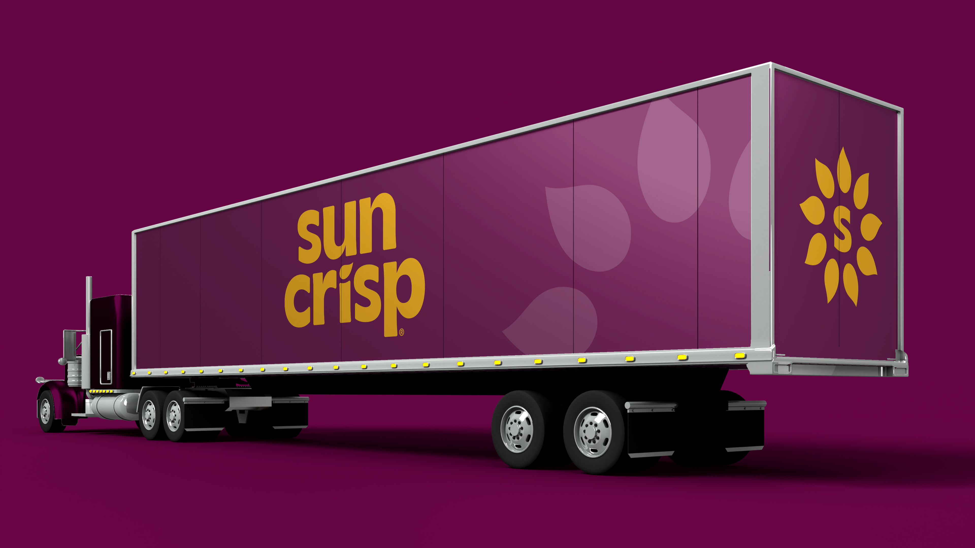 Product Naming & Package Design for Betta Bites